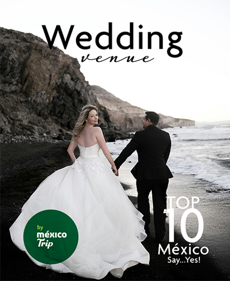 Revista 3